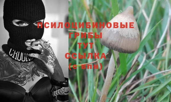 кокаин Алексин