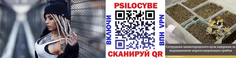 мега tor  Ирбит  darknet формула  купить наркотик  Псилоцибиновые грибы ЛСД 